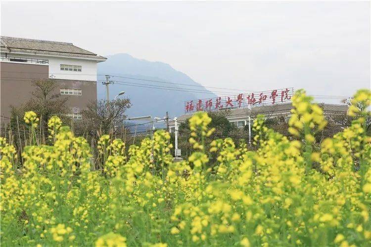 03 福建师范大学协和学院 背靠郁葱的旗山,溪源江从校区穿行而过,校园