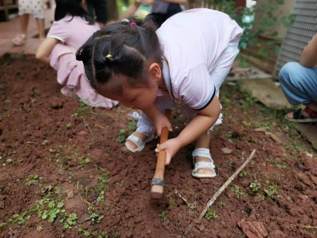上朗·中昂锦绣幼儿园户外种植活动播种绿色 呵护成长