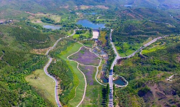 6月14日拍摄的河北省邯郸市丛台区紫山生态涵养区(无人机照片.