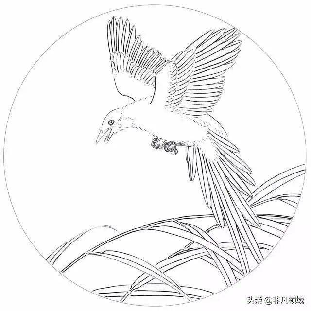 吉祥寓意花鸟白描