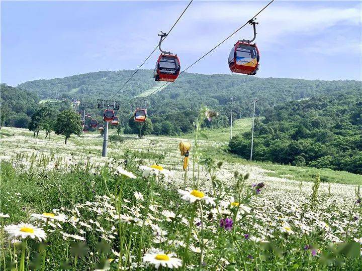 万科松花湖度假区首届家庭亲子运动节暨2020年夏季运营正式启幕