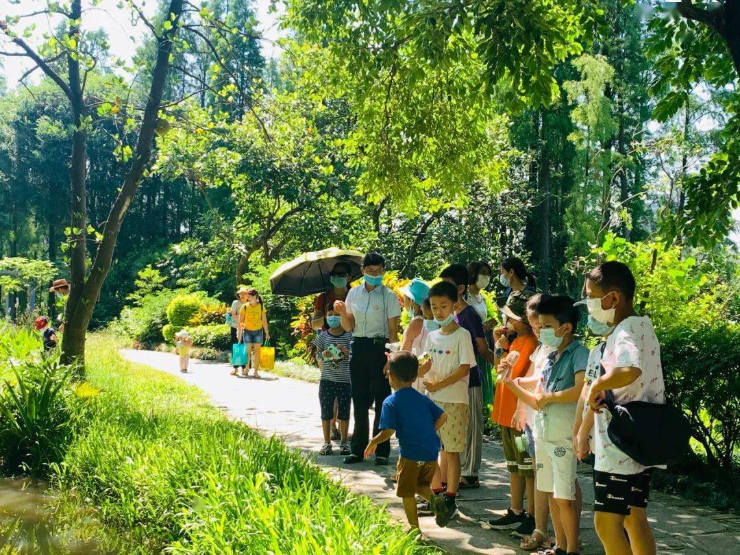 爱一处湿地护一片绿意星湖国家湿地公园科普教育基地生态科普活动顺利