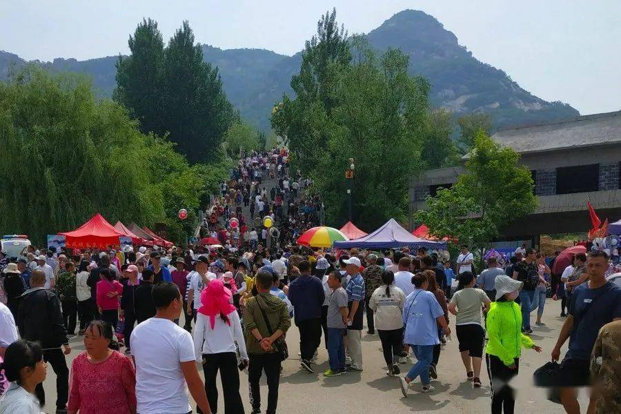 【诗画凤凰山庙会】三天香火烧云厚 人海淹来不见峰