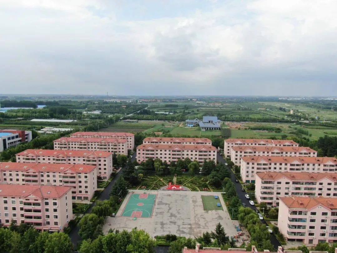 院格庄人口_人口普查(3)
