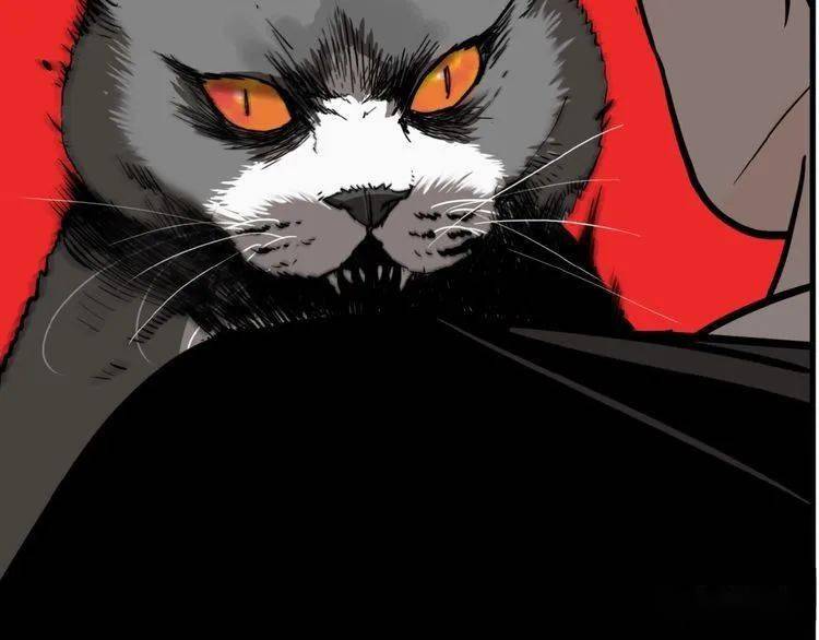 恐怖漫画:群猫