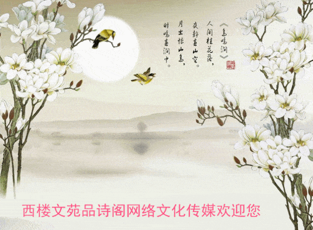 无须胭粉色,翠绿惹人迷.1五绝·夜未眠文/心念夜来风不寂,踟伫欲成诗.