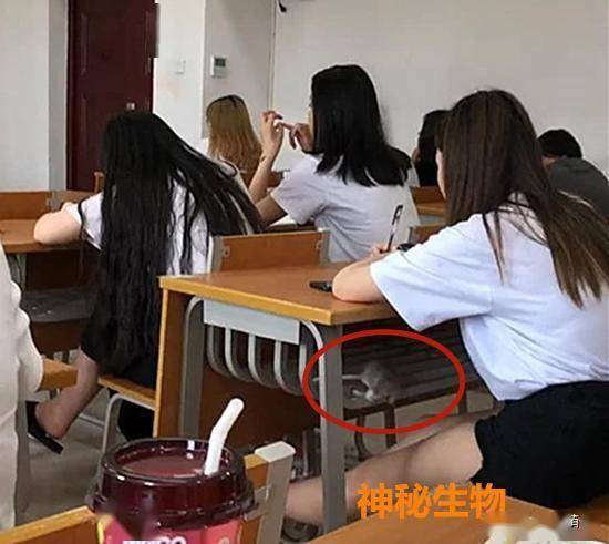 男生在拍照,镜头扫到一位女同学衣服下面,放大后:真是