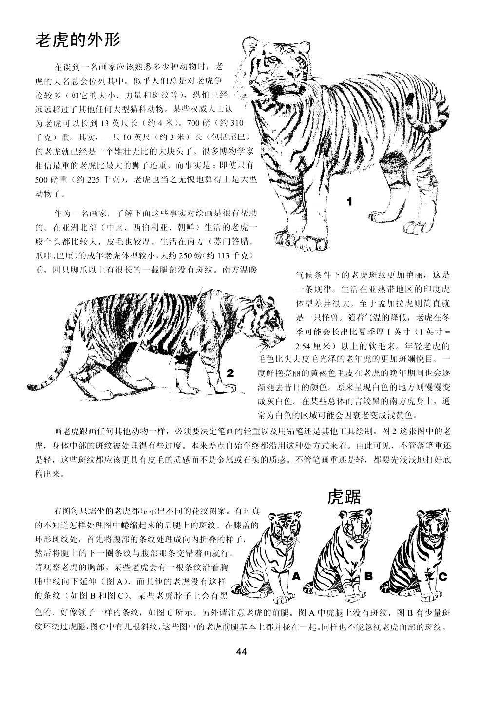 世界绘画经典教程动物素描
