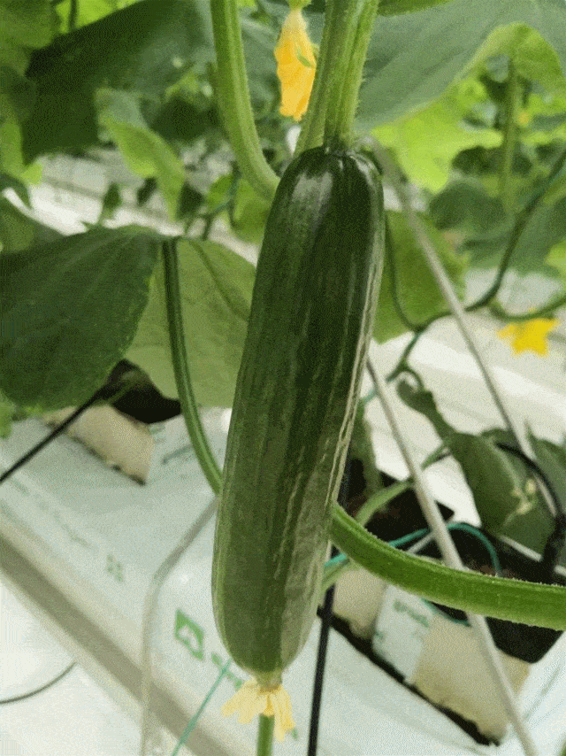 自驾线路:南京市区-宁宣高速-省道243-影视大道-新河南路-光明路-到达