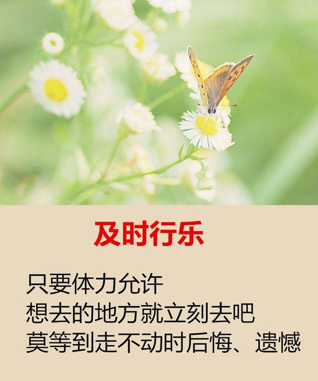 05bfcaf5e6274336a814092040c2f8a3.jpeg