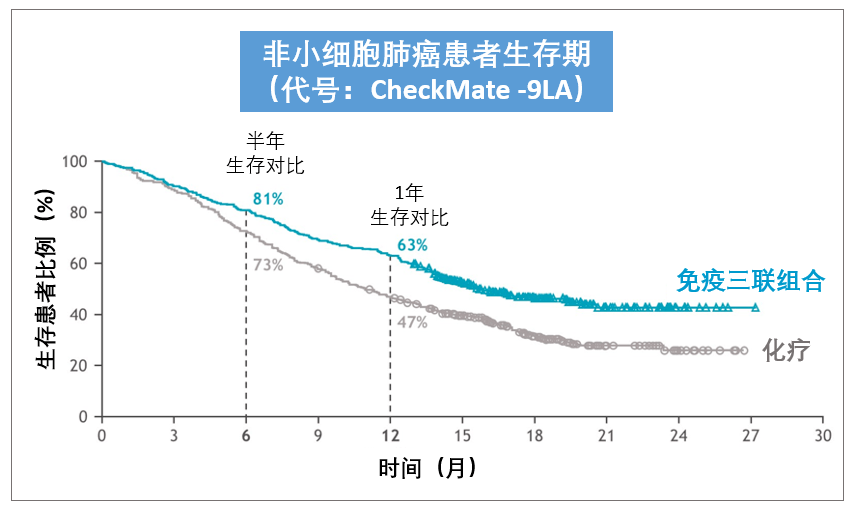 gdp化疗方案_非小细胞肺癌化疗方案(2)