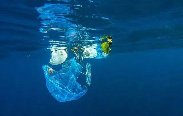 每年近八百万吨的垃圾被裹挟进海洋中去,化妆品垃圾 所占的比例就很大