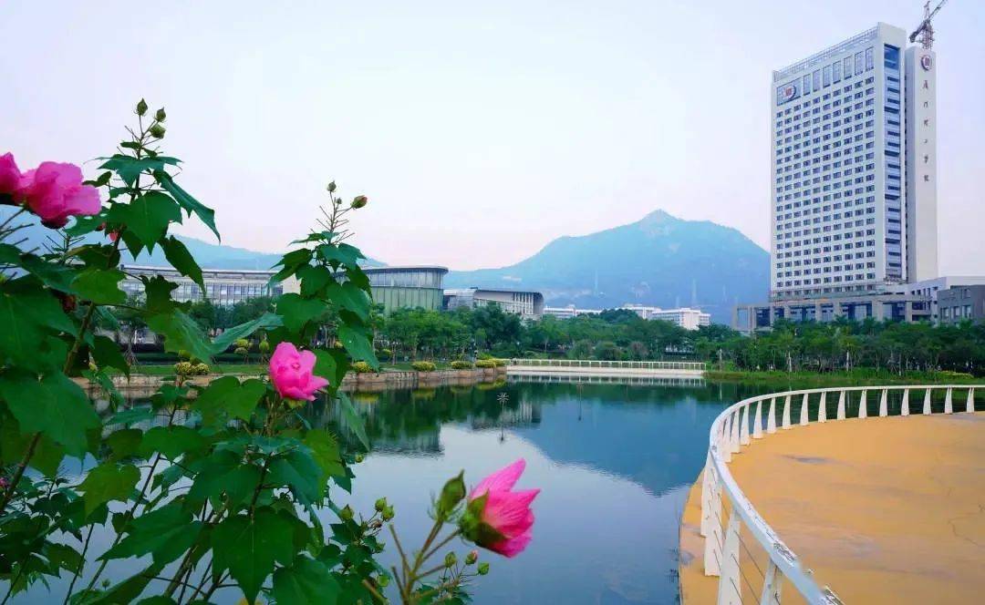 专业|厦门理工学院2020年普通高考招生章程