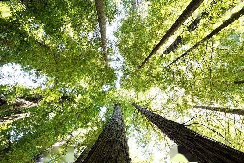 �ٴ����������ɫ��������?