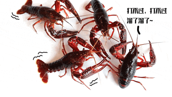 20a7747931134322b2233d7167d879e8.gif