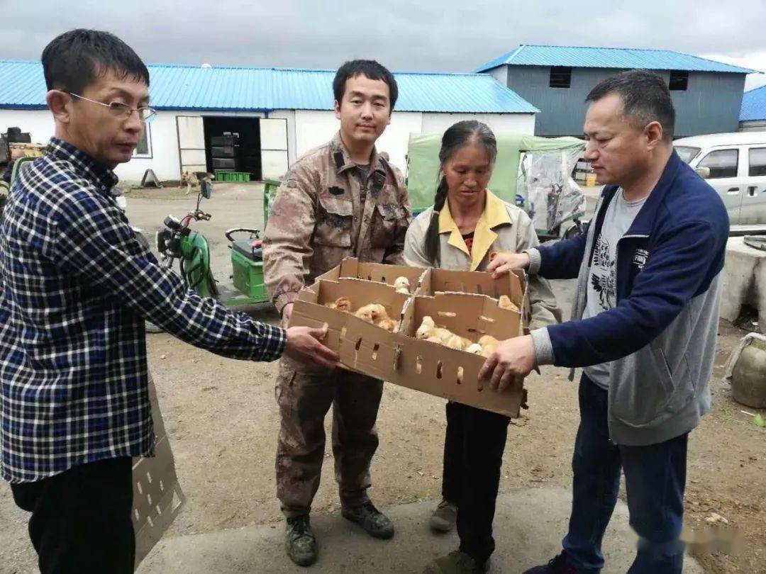 泥安村人口_海南万宁后安村(2)