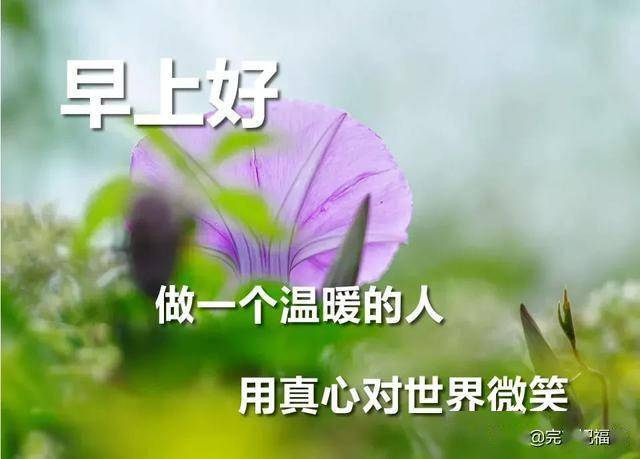 吃不了自律的苦就得吃平庸的苦出处 331925c636b34ecca813c3ebb1f5af59.jpeg