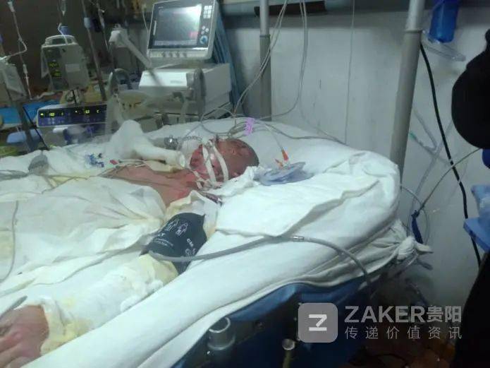 杨某受伤后在医院抢救的画面