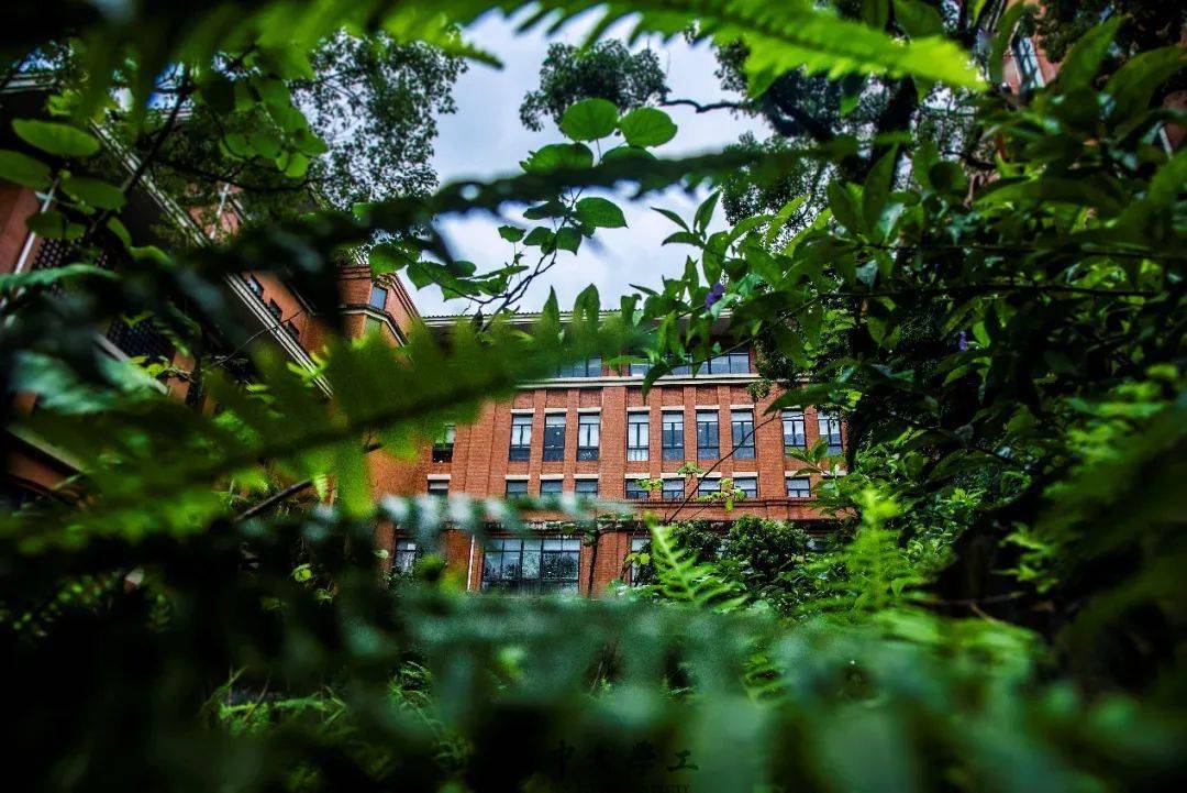 又有生命蓬勃的朝气 晴空如洗,风景如画 在微凉的的秋风中 校园被你