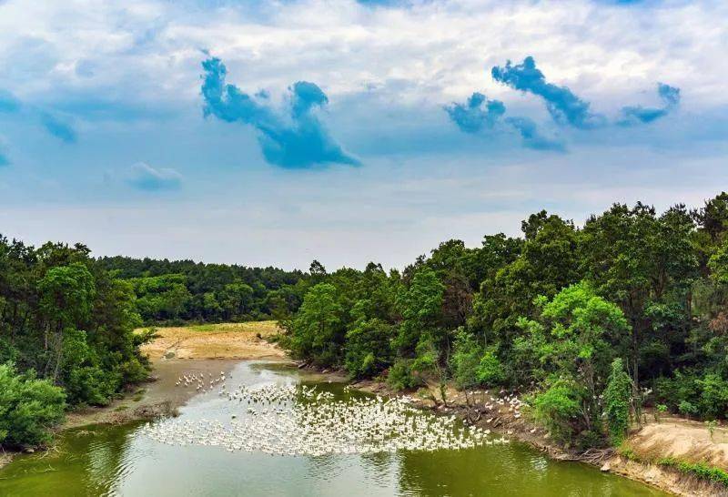 风景如画明光江淮分水岭风景道等你来打卡