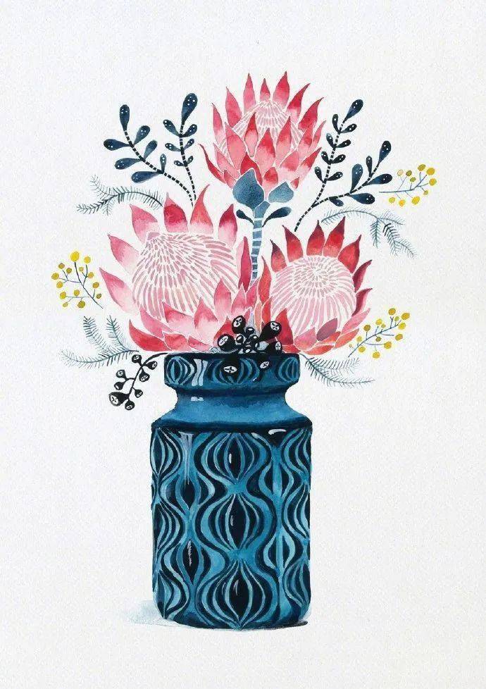植物插画 | 一组花卉插画作品欣赏!