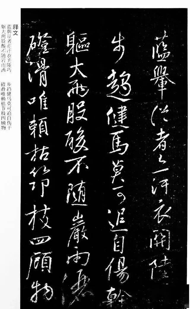 洛阳人口新政_洛阳牡丹(3)
