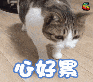 33ae64e037d0440c95bb9091378a357b.gif