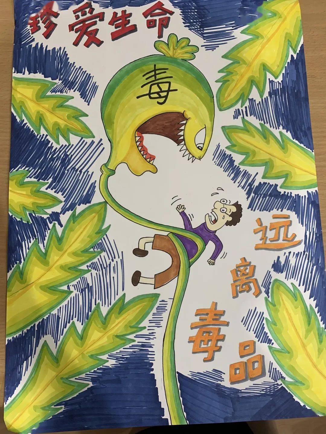 健康人生 绿色无毒 ▏人北小学开展禁毒宣教活动