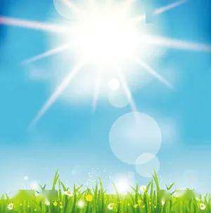 6ac5a34a91e74a1b81cdf08a0493f381.jpeg