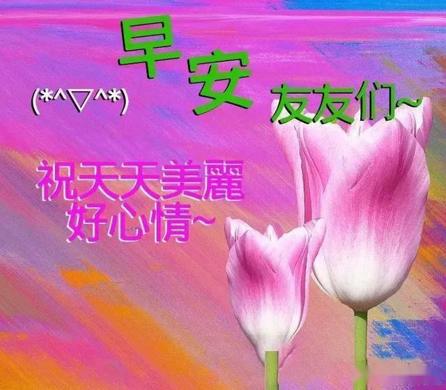 ab13b2edfd874f278f9d45b5888738e0.jpeg