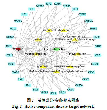 基于网络药理学的淫羊藿抗疲劳作用机制研究