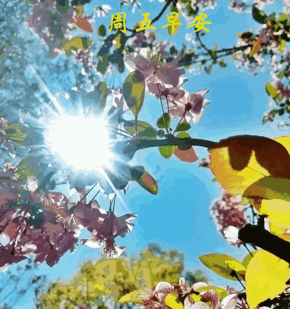 6月19日周五清晨早上好问候祝福动态表情图片 6月最新