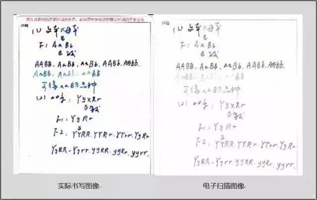 答题|为什么你的卷面分就比别人低20分？一文看懂高考抢分攻略为什么同样的答案