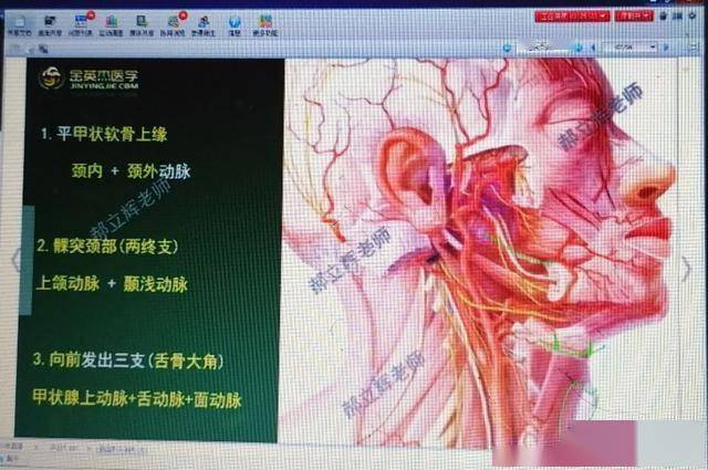 口腔解剖肌肉神经血管