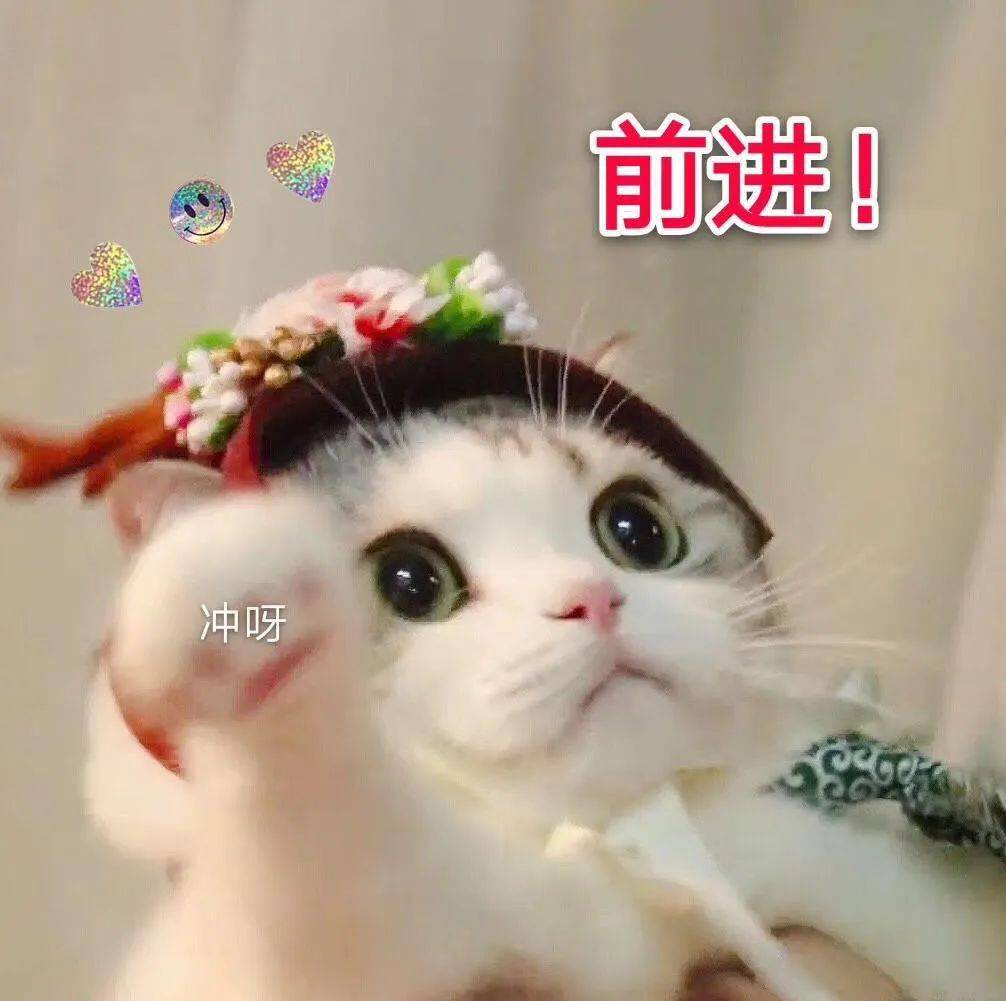 55d72d62066045658a444ec7d49b1ca7.jpeg