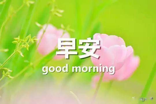 c00cca2fdc26433f805e2b9aa0d3fd85.jpeg