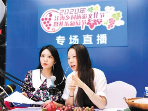 葡萄园|采摘游玩、直播带货、乡村游受热捧…… 礼乐葡萄节“扩容提质”