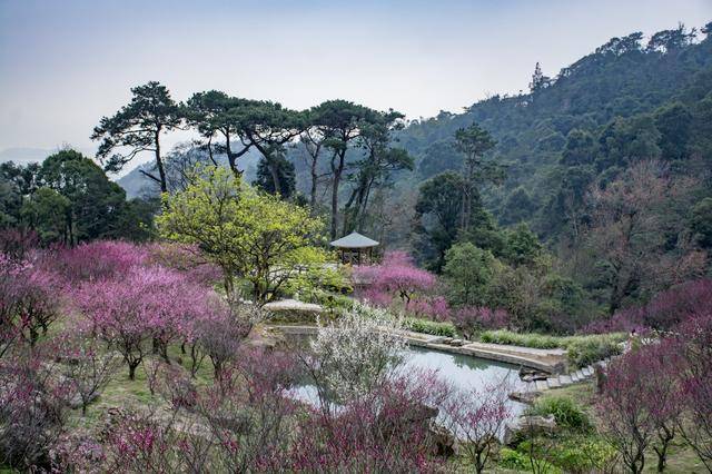 鼓山是福州最著名的风景区之一,也是国家级风景名胜区