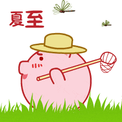 夏至图片带字带祝福语,夏至快乐动图表情包大全