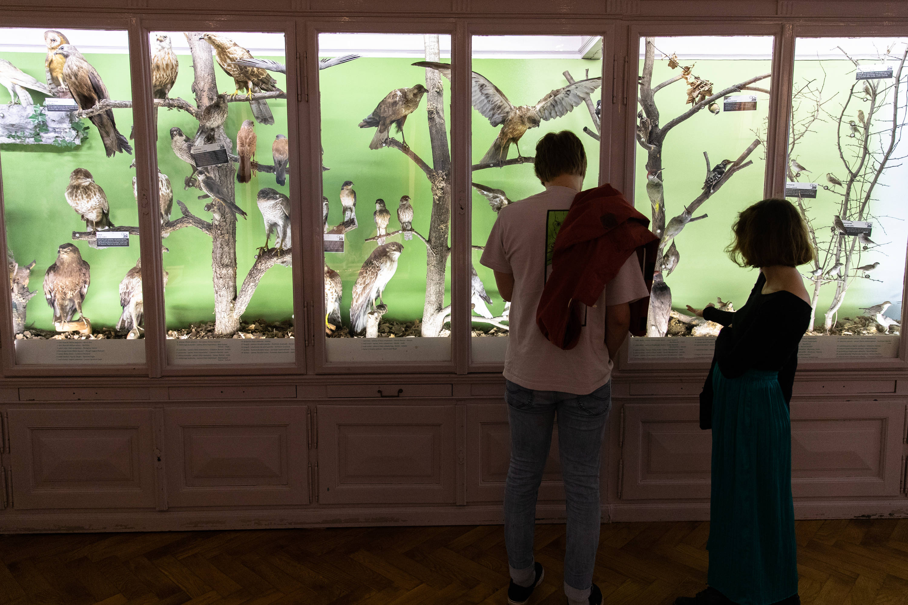 新华社|斯洛文尼亚开启第18届夏季博物馆之夜活动