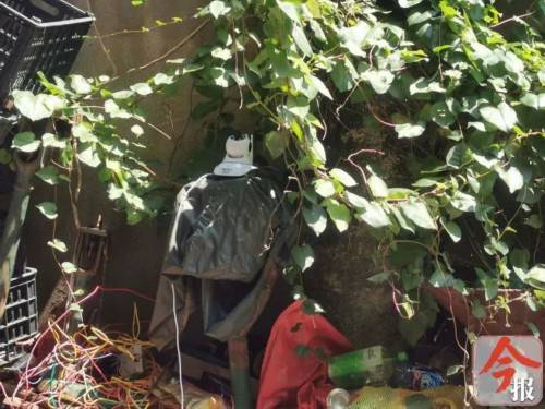 楼上住户|坐实！院子常遭垃圾“空袭” 男子朝天装了个探头！