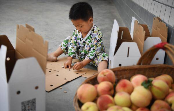 桃园|播种甜蜜的一家人