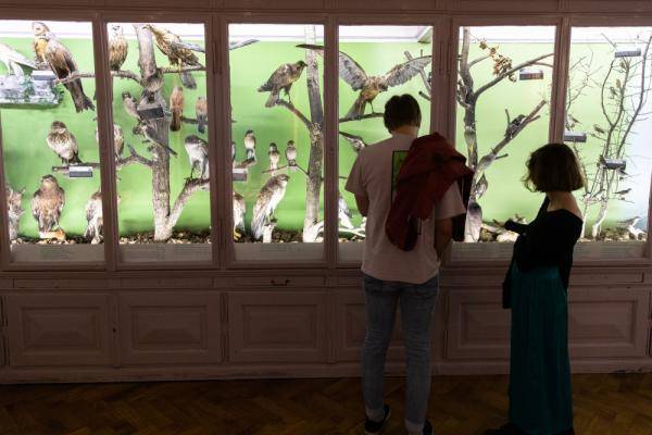 权属|斯洛文尼亚：仲夏夜 逛博物馆