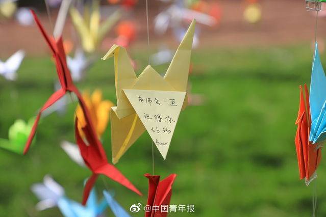 矩阵|华中农大万枚纸鹤矩阵祝福毕业生