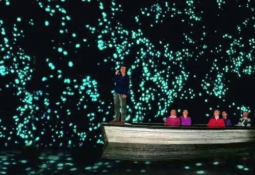 萤火虫歌曲特色 dfc4f105b3eb430a829b39142a6ceb7b.jpeg