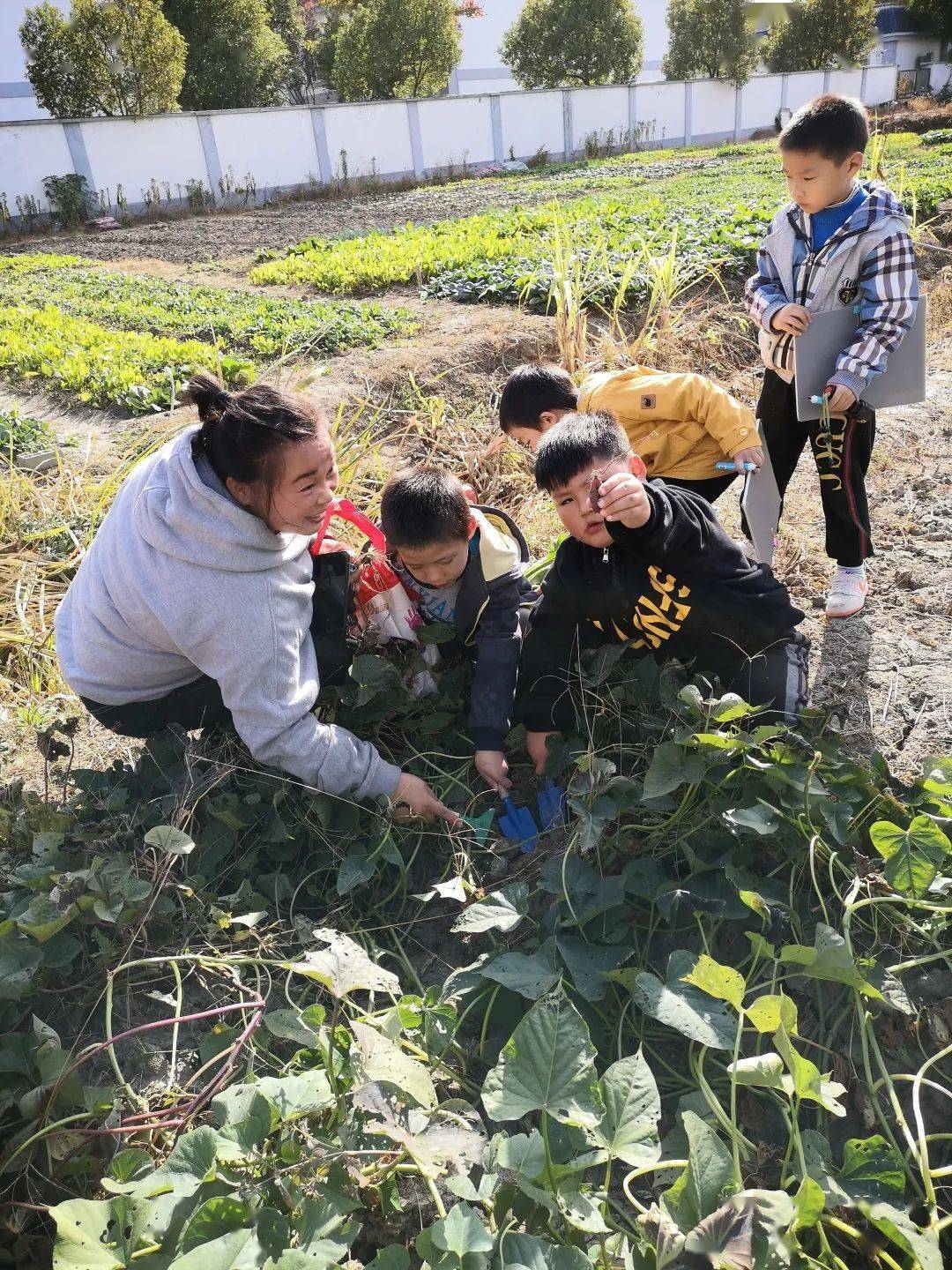 什么红插花成语_成语故事图片(3)