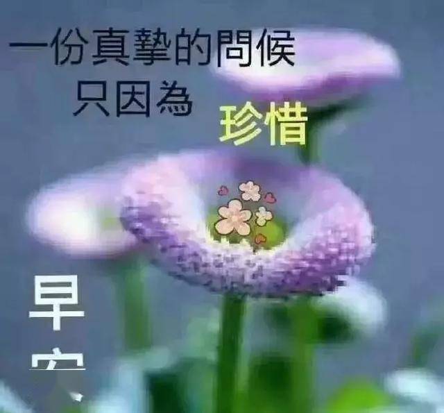 友情,无形,却最珍贵;祝福,简单,却常留心间,早上好