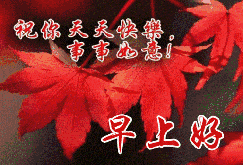 特漂亮的早上好祝福语带图片 新版特别漂亮的早安动态