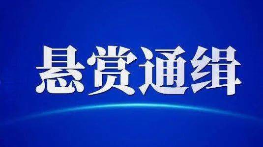 天津武清初中学排名_访农民歌手朱之文讲述天津武清初印象(2)