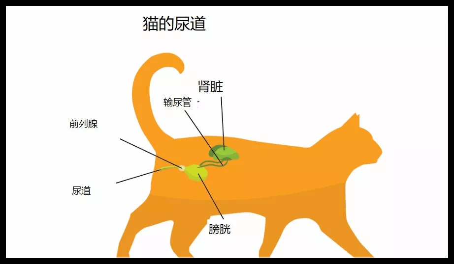 加班狗的崩溃有时来的很简单.